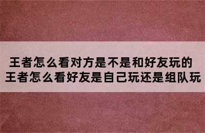 王者怎么看对方是不是和好友玩的 王者怎么看好友是自己玩还是组队玩